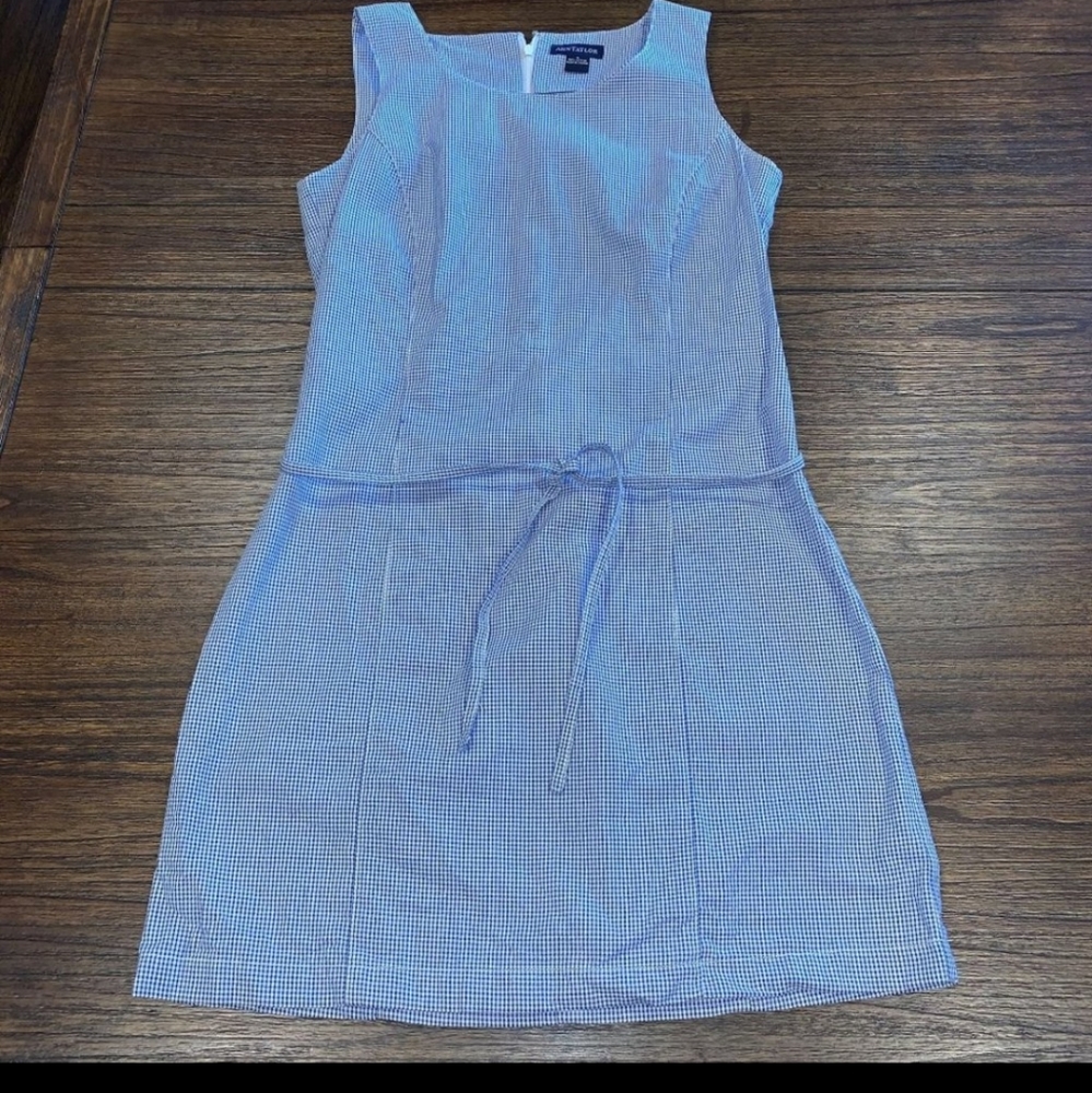 Ann Taylor Size 6 Gingham Cotton Dress
